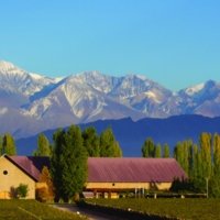 visit Susana Balbo Wines